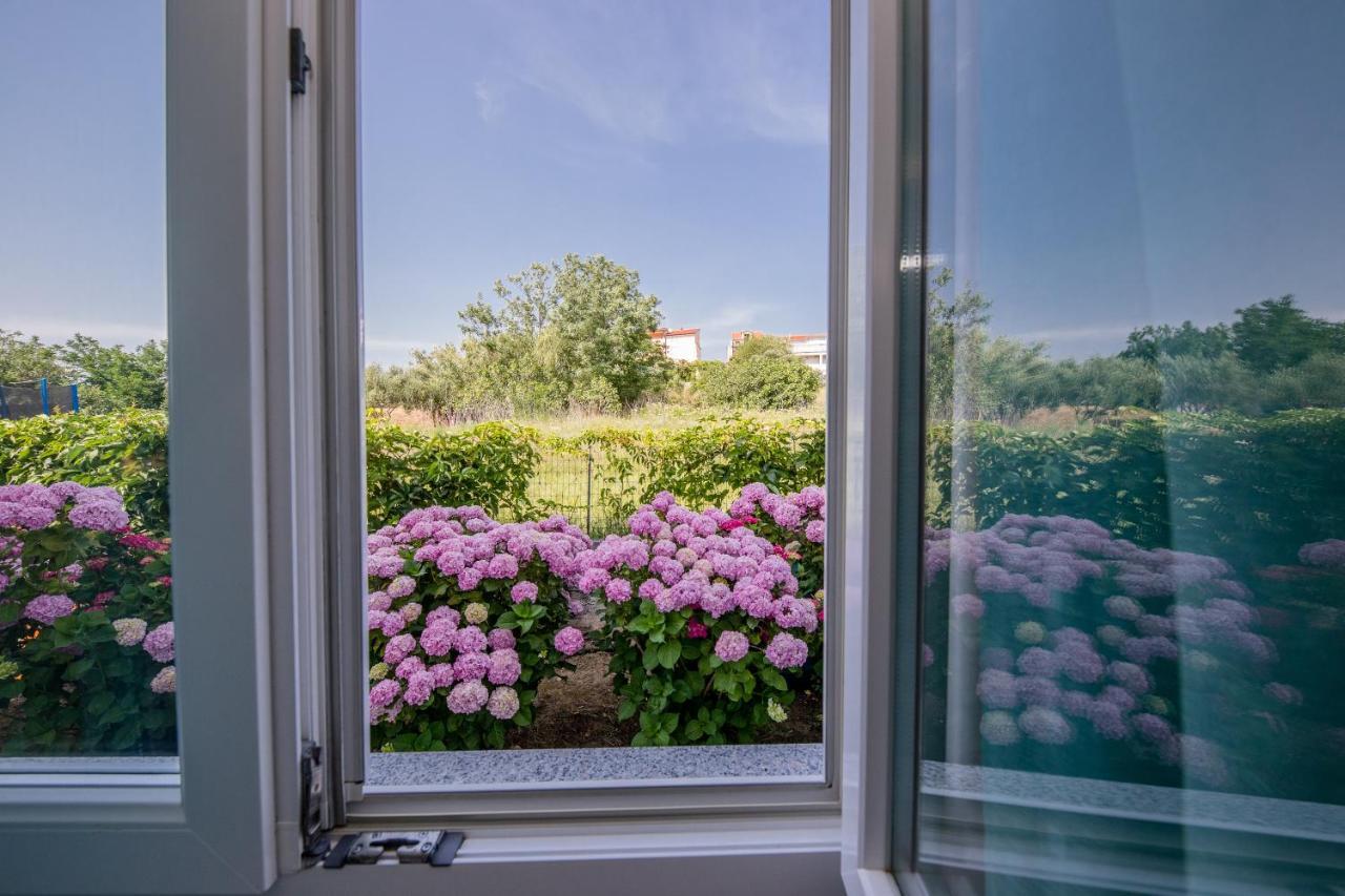 Zeljko Apartmani Lopar Exterior photo